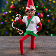 Load image into Gallery viewer, Elf Karate Kicks Set