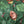 Load image into Gallery viewer, Elf Face and Quotes Boxer Briefs from Elf 
