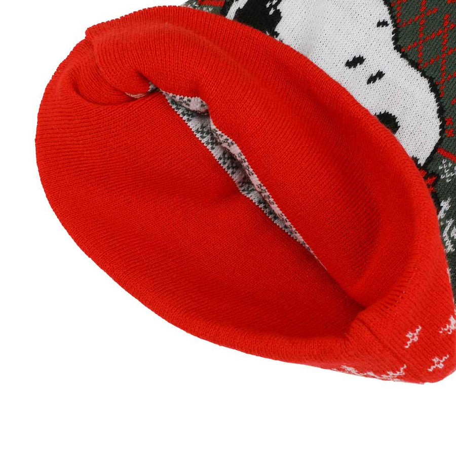 Peanuts Snoopy Christmas Santa Stocking Hat Inside