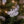 Load image into Gallery viewer,  2 Turtle Dove Ornaments
